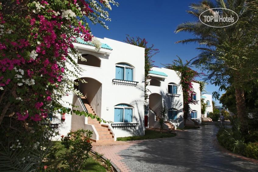Єгипет, Шарм ель Шейх, SULTAN GARDENS RESORT 5⭐️ 