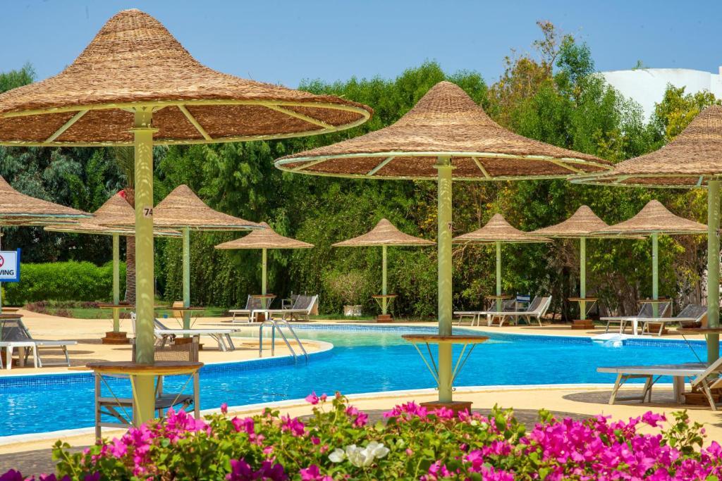 Шарм ель Шейх, Sierra Sharm El Sheikh 5*